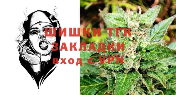 ПСИЛОЦИБИНОВЫЕ ГРИБЫ Ельня