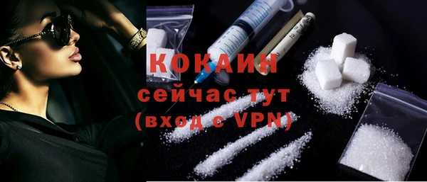 ПСИЛОЦИБИНОВЫЕ ГРИБЫ Ельня