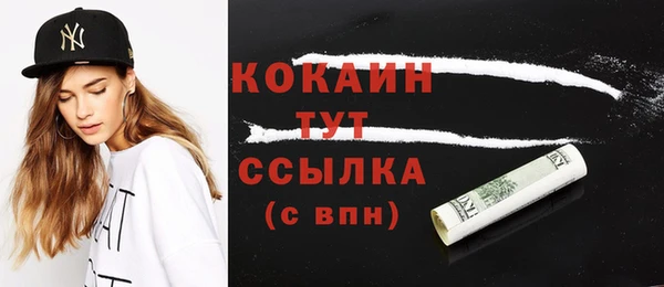 ПСИЛОЦИБИНОВЫЕ ГРИБЫ Ельня