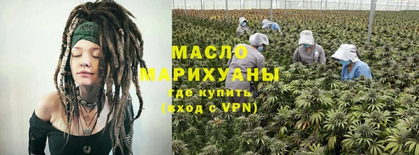 ПСИЛОЦИБИНОВЫЕ ГРИБЫ Ельня
