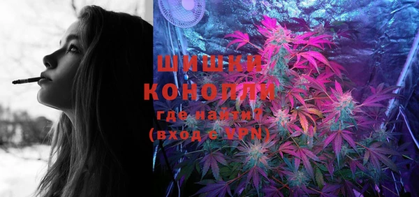 ПСИЛОЦИБИНОВЫЕ ГРИБЫ Ельня
