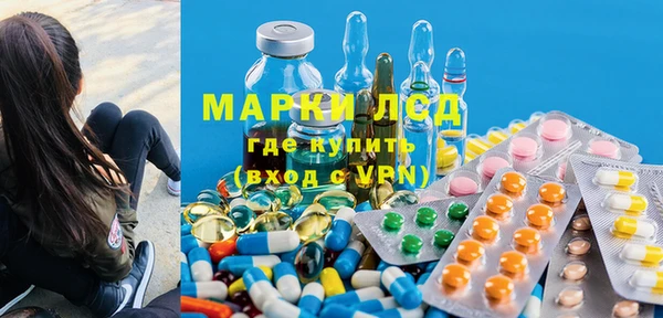 ПСИЛОЦИБИНОВЫЕ ГРИБЫ Ельня