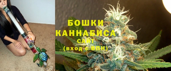 крисы Александровское