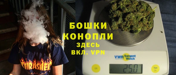 дурь Елизово