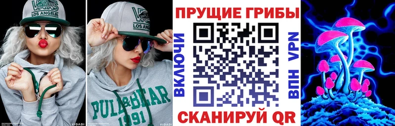 Галлюциногенные грибы Psilocybe  нарко площадка как зайти  Верхняя Тура  OMG  